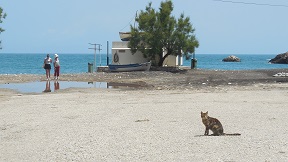 Lionas beach on Naxos