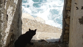 Lionas beach on Naxos