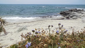 Kastraki beach on Naxos