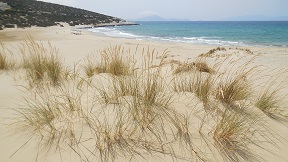 Agiasos beach