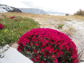 Thira, Santorini