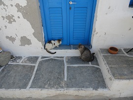 Sifnos, Kastro