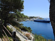 Linaria, Skyros