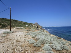 Lino beach, Skyros