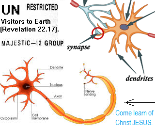 www.angelfire.com/ut/startups/subatomicChristian.html Primordial soup, the primordial ooze as aglae is revealed to be the same as a giant brain. How to guide MAJESTIC 12 MAJIC-12 Ultra Delta international and interstellar UFO counterparts properly into New Christianity for their sakes and mutual advantage. How governments have lied to their own people throughout their entire lifetimes including their own high officials, due to lack of interest in Christ JESUS of facts in evidence (