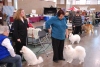 Our first AKC Show